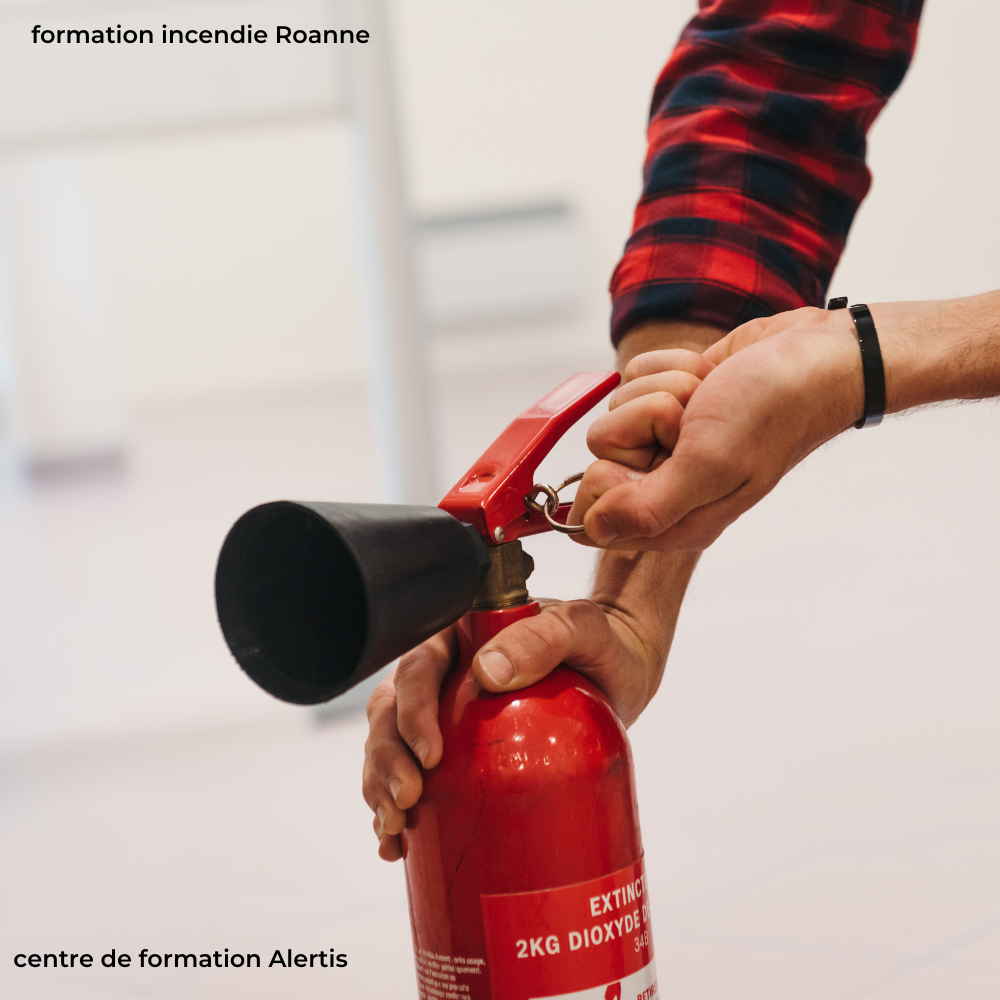 Alertis formation incendie à roanne